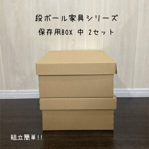 保存BOX中2個セット クラフトボックス 段ボール ダンボール シンプル 押入れ収納 フタ付きストックボックス シューズボックス スタイリッシュクローゼット コンパクト 下着収