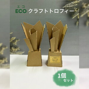 ECONtggtB[@i{[@sii@Ѝs@ƃCxg@Cxg@wZs@AWiECO NtggtB[ i{[ SDGs\ACeyʁ@gȒP@X|