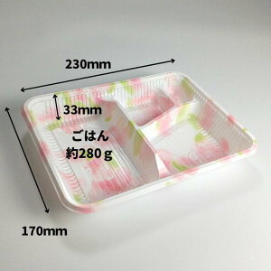 y100zĝĂٓeZ-253  { 230×170×33mmV[s[ gٓ mٓ ٓ  A eCNAEg fo[ z