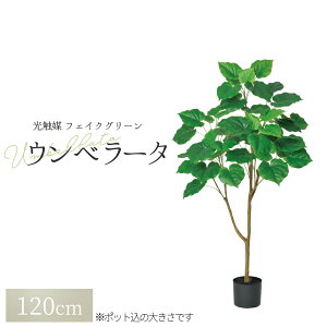 ϗtA tFCN tFCNO[ ^  lϗtA O[ Ex[^i|bgtjA-51038 1{ ItBX   O CeA