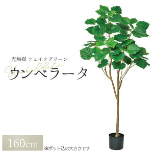 ϗtA tFCN tFCNO[ ^  lϗtA O[ Ex[^i|bgtjA-51039 1{ ItBX   O CeA