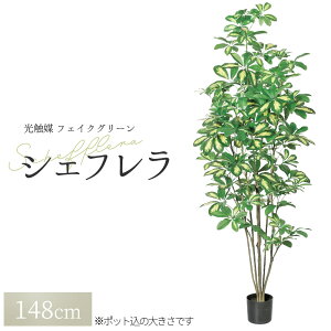 ϗtA tFCN tFCNO[ ^  lϗtA O[ VFti|bgtjA-50860 1{ ItBX   O CeA