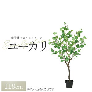 ϗtA tFCN tFCNO[ ^  lϗtA O[ [Ji|bgtjA-50966 1{ ItBX   O CeA