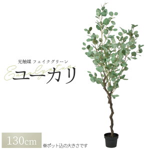 ϗtA tFCN tFCNO[ ^  lϗtA O[ [Ji|bgtjA-50967 1{ ItBX   O CeA