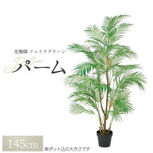 ϗtA tFCN tFCNO[ ^  lϗtA O[ p[i|bgtjA-50968 1{ ItBX   O CeA