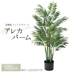 ϗtA tFCN tFCNO[ ^  lϗtA O[ AJp[i|bgtjA-50806 1{ ItBX   O CeA