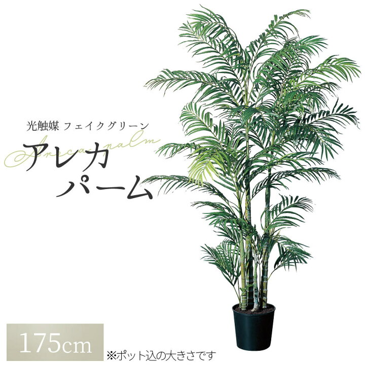 楽天市場】観葉植物 フェイク フェイクグリーン 大型 造花 人口観葉 
