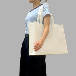 g[gobO 傫 n sDz V_[ /// 100 460×350×100mm W AE IWiObY  CxgobO zobO ȃobO RbgobO Jo g[g