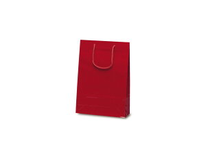 y񎆑܁ziCXobO C i50j 225×80×320mm