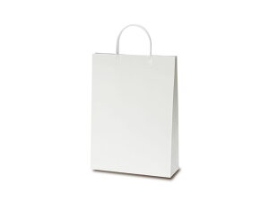 y񎆑܁zA4t@CobO i50j 270×100×370mm