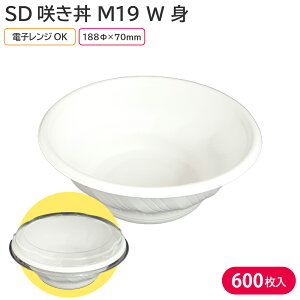 čՂ   BBQ Lv ٓ ĝĕٓe ٓe SD炫 M19 W g 1P[X 600  dqW ϔM A