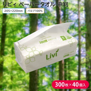y[p[^I  1P[X 300×40 205×220mm ĝ Ɩp rB GufCy[p[^I pv100% @ ӂ @