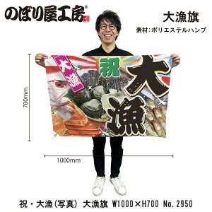 務 1000×700mm 務 2950 |GXenv 務F D i o  a JXi1jy󒍐Yiz