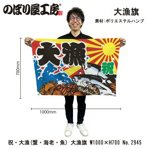 務 1000×700mm 務 2945 |GXenv 務F D i o  a JXy󒍐Yiz