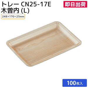 yoׁzg[ A y  N ؂g ĝ X[p[ X NX CN25-17E ؑ]iLj248×170×[25mm 100 w