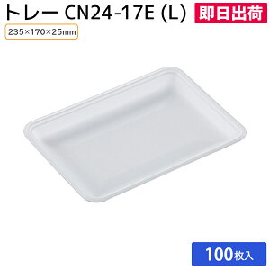 yoׁzg[ A y  N ؂g ĝ X[p[ X NX CN24-17EiLj 235×170×[25mm 100 w