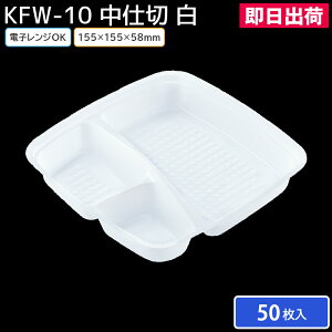 yoׁzٓ ĝĕٓe e A eCNAEg z dqWΉ ϔM d KFW-10 PPF  d 50 kY