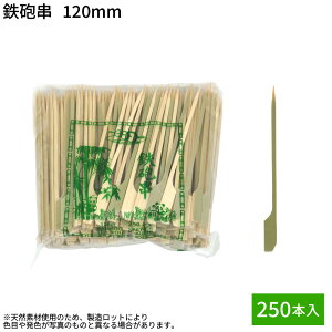 iAEgbgi 1_jyoׁz SC |  | 15cm VR| SC 120mm 250{ 1܁yBepTvz