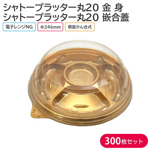 I[hu p[eB[ v[g Vg[vb^[20  g & T-Vg[vb^[20 ƍW 246×42mm 1P[X 300 p[eB[ 