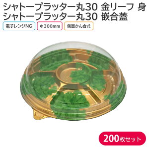 I[hu p[eB[ Vg[vb^[30 [t g & T-Vg[vb^[30 ƍW 300×42mm 1P[X 200 p[eB[ 