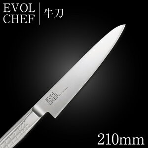  iCt  21cm EVOLCHEF G{VFt  210mm Lb` I[XeX l炵 ƖpyVz