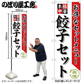 【ネコポス3枚まで】のぼり のぼり旗 SNB-478 餃子セット W60×H180cm 1枚 中華 中華料理 三方三巻 販促 商売繁盛【受注生産品】