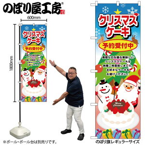 y[ւ3܂Łẑڂ NX}X P[L SNB-2886 NX}XP[L T^ W60×H180cm 1 OO ̑y󒍐Yiz