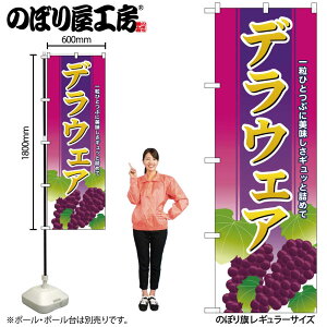 【メール便は3枚まで】のぼり のぼり旗 SNB-1358 デラウェア W60×H180cm 1枚 ぶどう 果物 三方三巻 販促 商売繁盛【受注生産品】