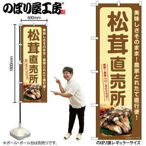 y[ւ3܂Łẑڂ ̂ڂ SNB-7351  W60×H180cm 1 OO ̑ ɐy󒍐Yiz