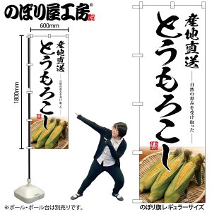 【メール便は3枚まで】のぼり のぼり旗 SNB-7518 とうもろこし産地直送 W60×H180cm 1枚 三方三巻 販促 商売繁盛【受注生産品】