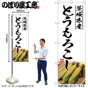 y[ւ3܂Łẑڂ ̂ڂ SNB-7532 Ƃ낱錧Y W60×H180cm 1 OO ̑ ɐy󒍐Yiz