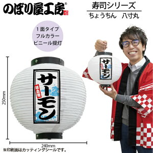  傤 46545 T[   240×H250mm 1 i    HX ̑ ɐy󒍐Yiz