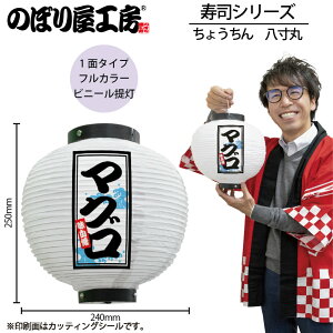  傤 46546 }O   240×H250mm 1 i    HX ̑ ɐy󒍐Yiz
