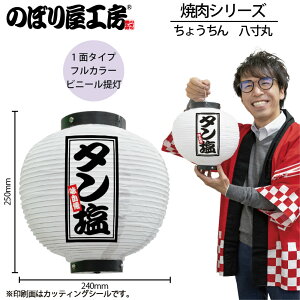  傤 46588 ^   240×H250mm 1 ē    HX ̑ ɐy󒍐Yiz