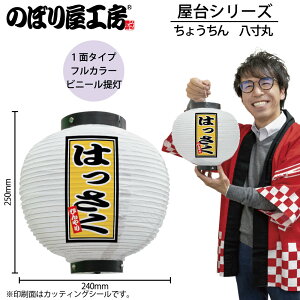  傤 43721 ͂   240×H250mm 1 X    HX ̑ ɐy󒍐Yiz