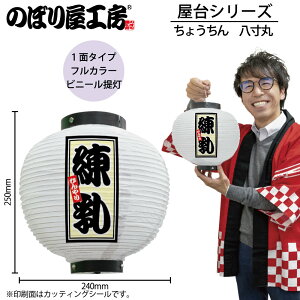  傤 43738    240×H250mm 1 X    HX ̑ ɐy󒍐Yiz