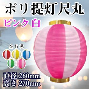  傤 Ղ ڊ sN 8876 260×270mm    HX ̑ ɐ