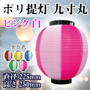  傤 Ղ 㐡 sN 8881 225×250mm 80g    HX ̑ ɐ