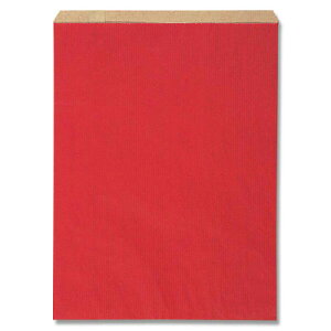 【柄付平袋】HEIKO Rタイプ柄小袋 R-10 筋入無地 未晒赤(200枚入)250×330mm シモジマ