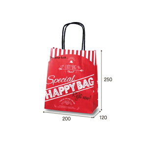 y܁zT|2 HAPPY BAGi200j 200×120×250mm