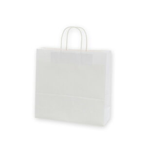 y񎆑/ەRz25`[obO 3 n N^Cvi50j320×115×310mm A莆 t