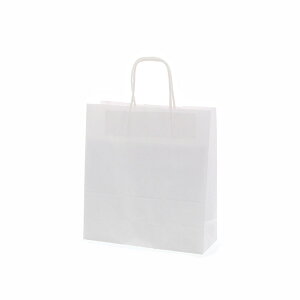 y񎆑/ەRzHEIKO  25`[obO 25CB 26-10 Nn 1P[X 300 260×100×280mm A莆 t 3272220 VW}