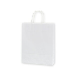 y񎆑/ەRz25`[obO MS-1 n N^Cv i50j 270×80×340mm A莆 t A4TCY