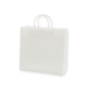 y񎆑/ەRz25`[obO 3 n Љ^Cv i50j 320×115×310mm A莆 t p P[L