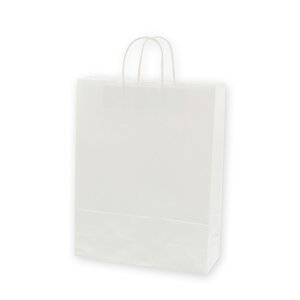 y񎆑/ەRz25`[obO 2 n Љ^Cv i50j 320×115×410mm A莆 t p P[L