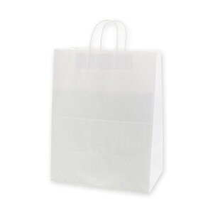 y񎆑/ەRz25`[obO 34-2 n N^Cv i200j 340×220×440mm A莆 t p P[L