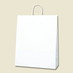 y񎆑/ەRz25`[obO JX^ n Љ^Cv i50j 380×150×500mm A莆 t p P[L
