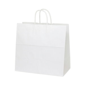 y񎆑/ەRz25`[obO 41-2 n N^Cv i50j 410×220×390mm A莆 t p P[L