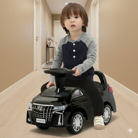 乗用 アルファード ブラック　ミズタニ　4985404121758