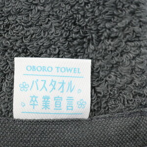 oX^I Ɛ錾y2Zbgz  O^I OtFCX^I oX^I {^I ڂ^I 33×100cm { 100 Rbg100 z͖6{ z^I oX